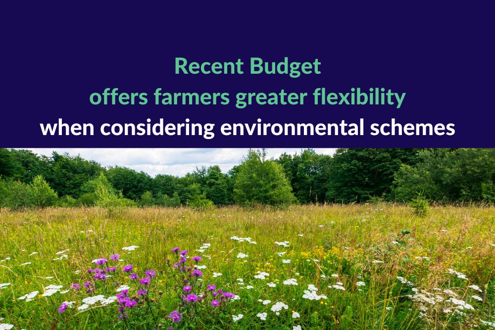 Recent Budget offers farmers greater flexibility when considering environmental schemes